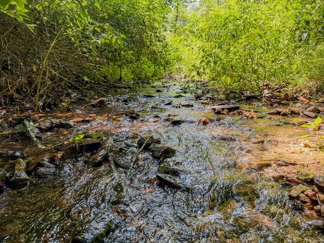 0 Keazy Hollow Rd, Waynesboro, TN 38485