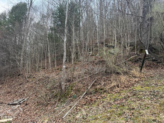 195 Hanging Tree Road, Dante, VA 24237