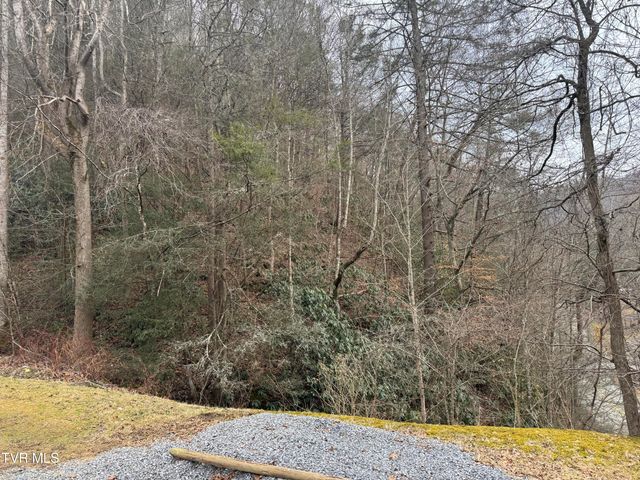 195 Hanging Tree Road, Dante, VA 24237