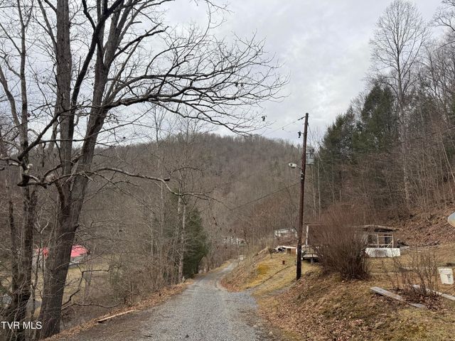 195 Hanging Tree Road, Dante, VA 24237