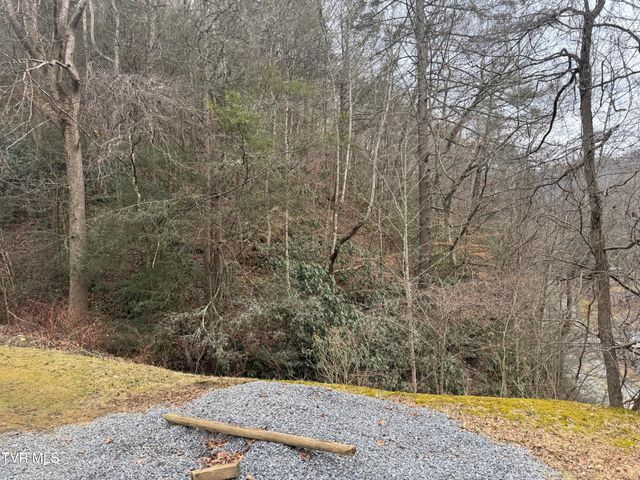 195 Hanging Tree Road, Dante, VA 24237