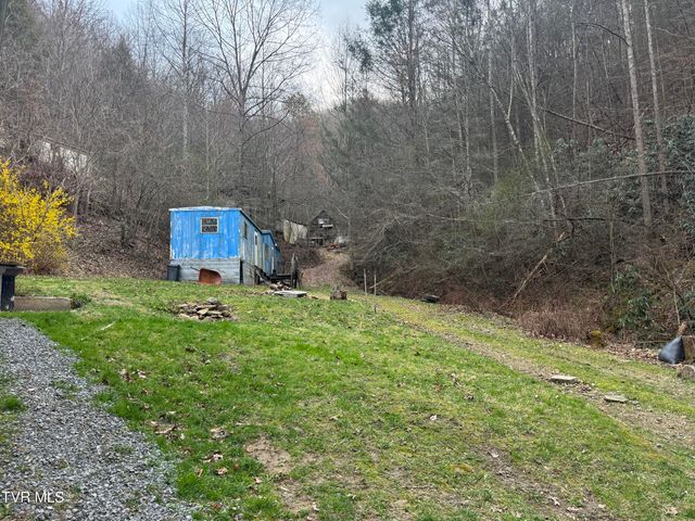 195 Hanging Tree Road, Dante, VA 24237