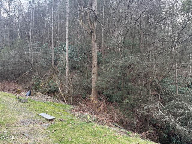 195 Hanging Tree Road, Dante, VA 24237