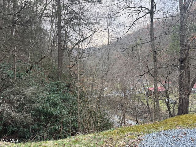 195 Hanging Tree Road, Dante, VA 24237