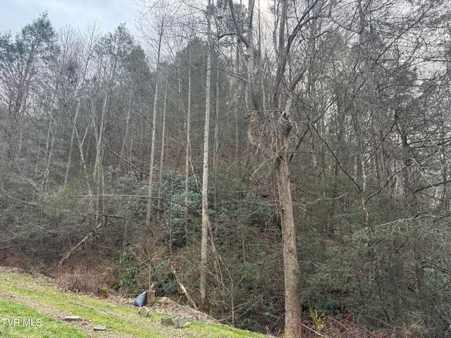 195 Hanging Tree Road, Dante, VA 24237