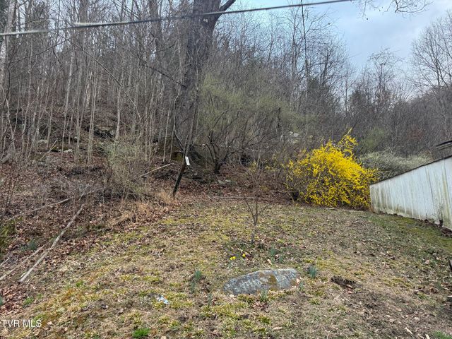 195 Hanging Tree Road, Dante, VA 24237