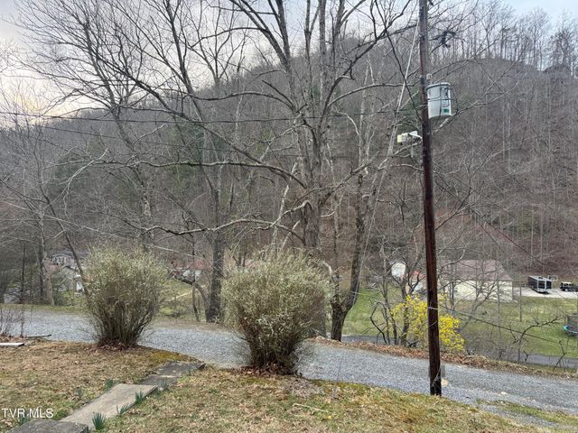 195 Hanging Tree Road, Dante, VA 24237