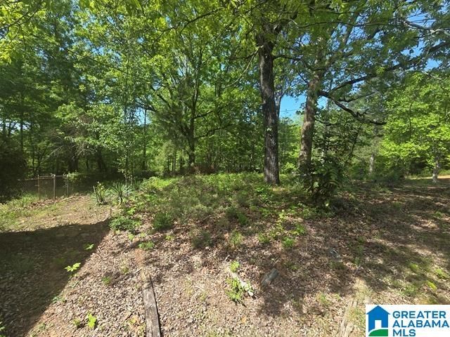 1201 LAKESHORE DRIVE, Anniston, AL 36207