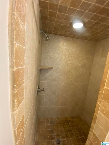 1009 SPRINGVIEW STREET, Birmingham, AL 35215