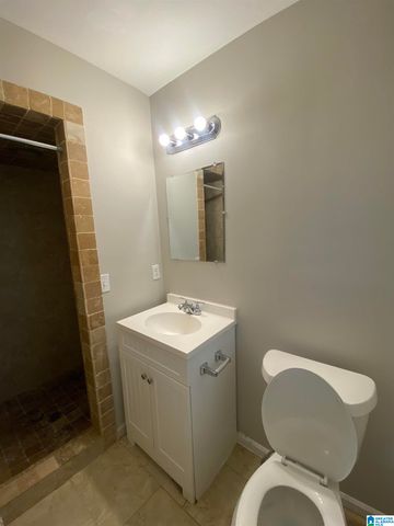 1009 SPRINGVIEW STREET, Birmingham, AL 35215