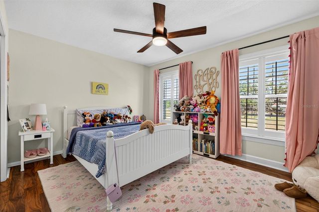 2812 W PAXTON AVENUE, Tampa, FL 33611