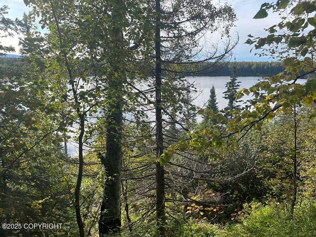 21235 E Quarah Lake Avenue, Talkeetna, AK 99676