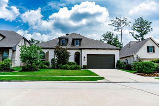 17469 Chestnut Cove Drive, Conroe, TX 77302