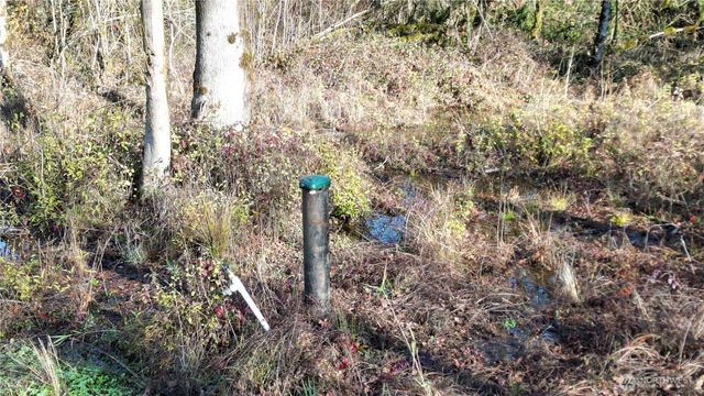 0 Jackson Hwy, Toledo, WA 98591