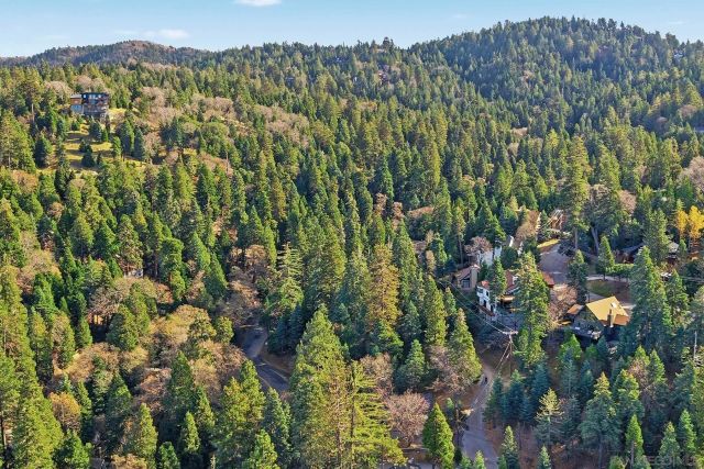 0 State Hwy 173 State Highway 205, Lake Arrowhead, CA 92352