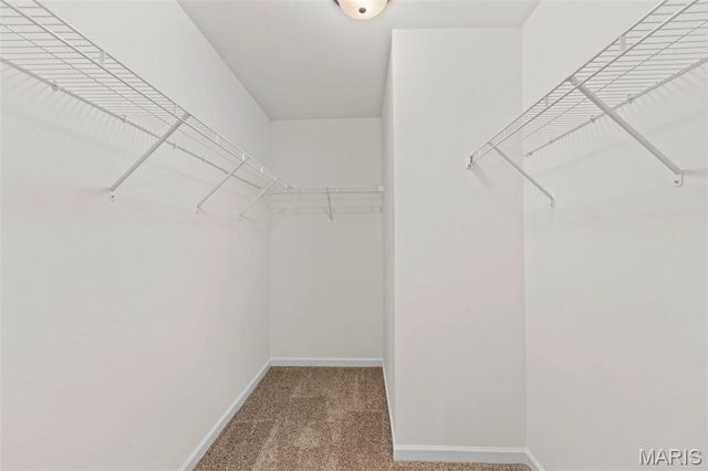 1059 Black Bear Drive, House Springs, MO 63051