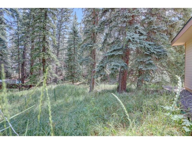 8226 S Brook Forest Rd, Evergreen, CO 80439