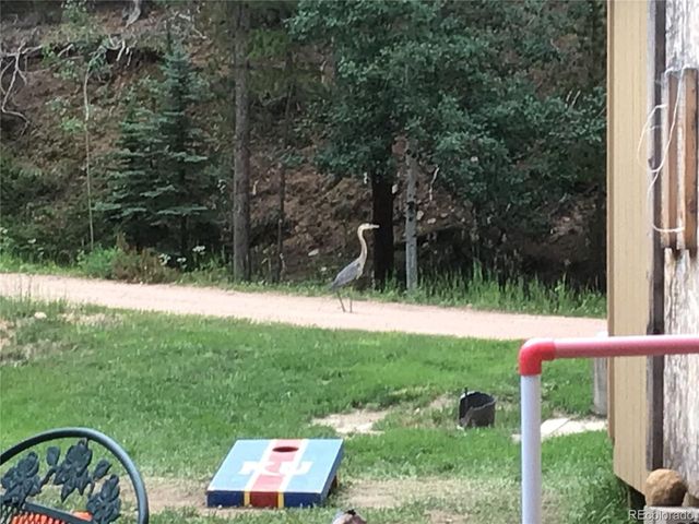 8226 S Brook Forest Rd, Evergreen, CO 80439