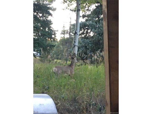 8226 S Brook Forest Rd, Evergreen, CO 80439