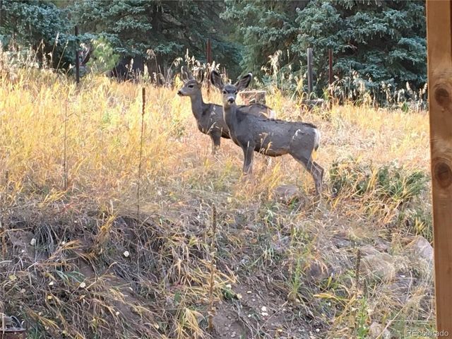 8226 S Brook Forest Rd, Evergreen, CO 80439