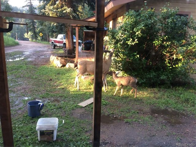 8226 S Brook Forest Rd, Evergreen, CO 80439