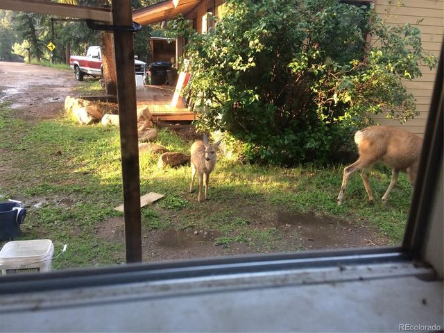 8226 S Brook Forest Rd, Evergreen, CO 80439