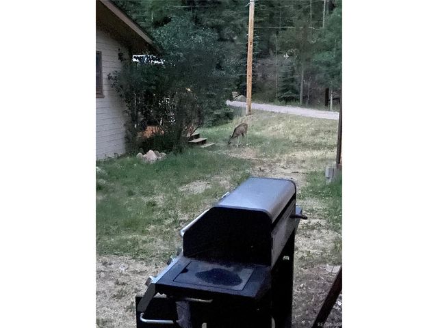 8226 S Brook Forest Rd, Evergreen, CO 80439