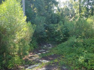 4606 Windsor Spring Road, Hephzibah, GA 30815