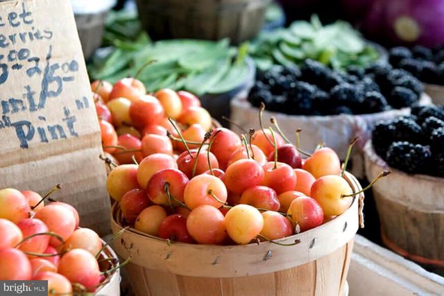 16 PARKER DR, Millsboro, DE 19966