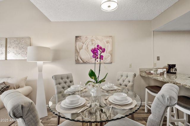 719 E LOLA Drive, Phoenix, AZ 85022