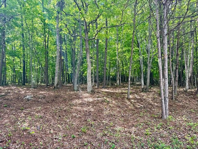 876 Gibson Hill, Hiawassee, GA 30546