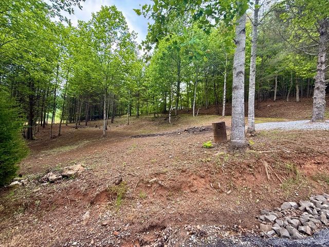876 Gibson Hill, Hiawassee, GA 30546