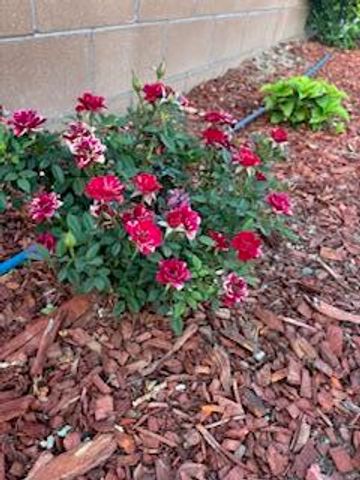 2600 Houser Avenue SE, Albuquerque, NM 87106