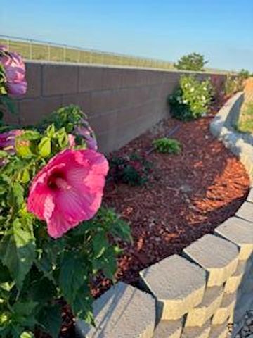 2600 Houser Avenue SE, Albuquerque, NM 87106