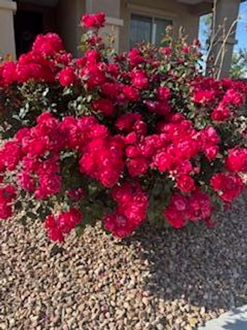 2600 Houser Avenue SE, Albuquerque, NM 87106