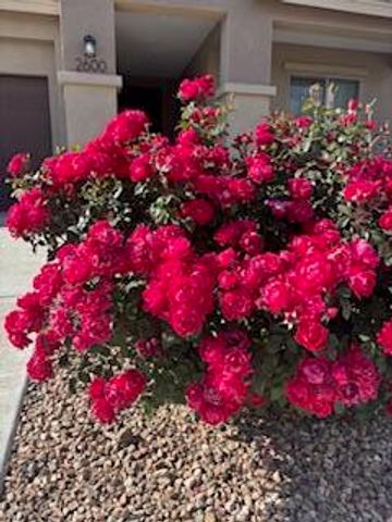 2600 Houser Avenue SE, Albuquerque, NM 87106