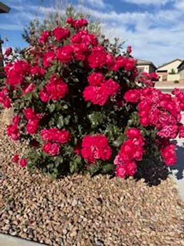 2600 Houser Avenue SE, Albuquerque, NM 87106