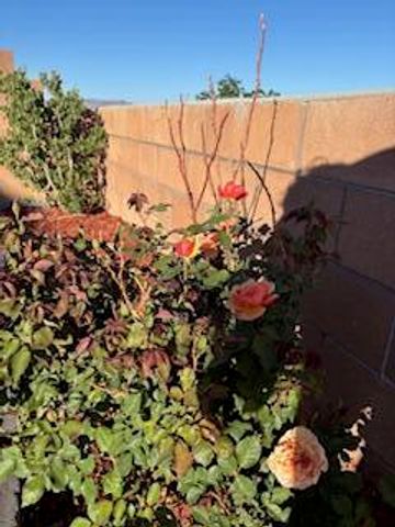 2600 Houser Avenue SE, Albuquerque, NM 87106