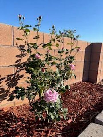 2600 Houser Avenue SE, Albuquerque, NM 87106