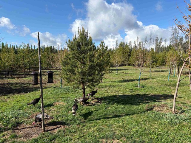 4571 Spring Valley Rd, Newport, WA 99156