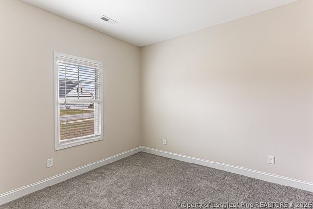 391 Leach Creek Drive, Raeford, NC 28376