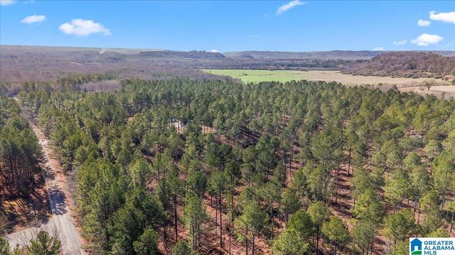 7680 COUNTY ROAD 35, Bremen, AL 35033