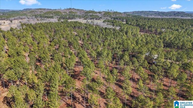 7680 COUNTY ROAD 35, Bremen, AL 35033