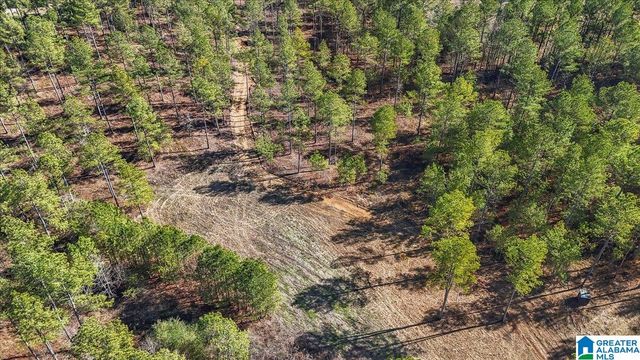 7680 COUNTY ROAD 35, Bremen, AL 35033