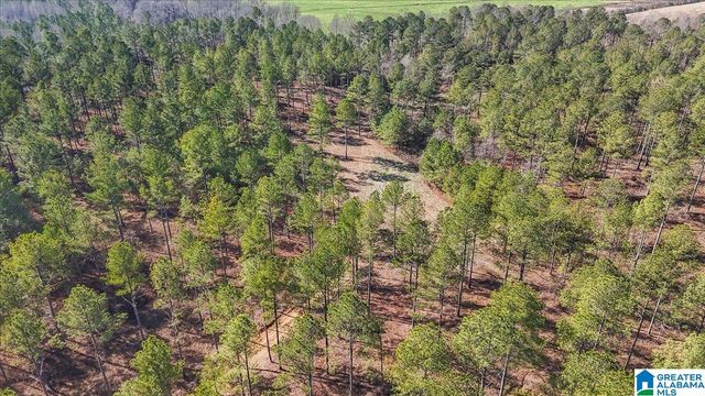 7680 COUNTY ROAD 35, Bremen, AL 35033