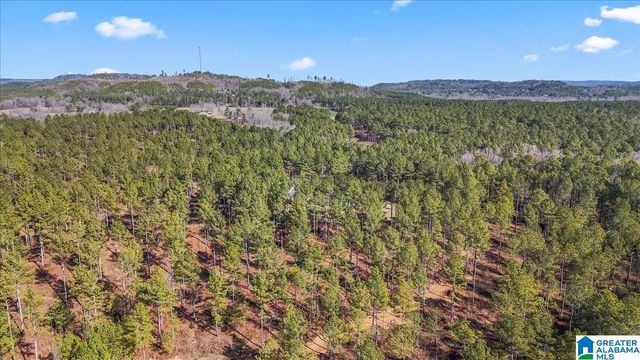 7680 COUNTY ROAD 35, Bremen, AL 35033