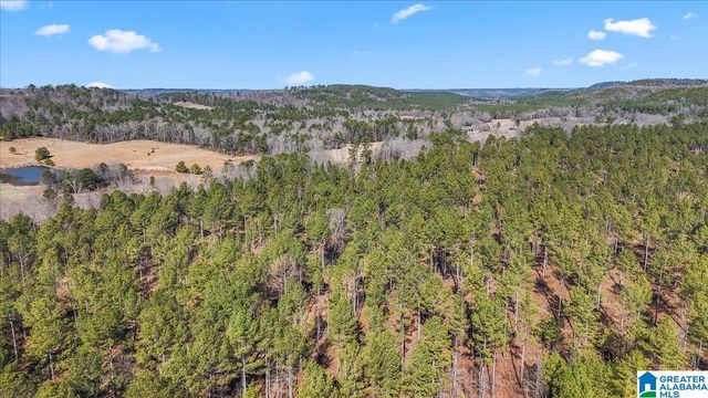 7680 COUNTY ROAD 35, Bremen, AL 35033