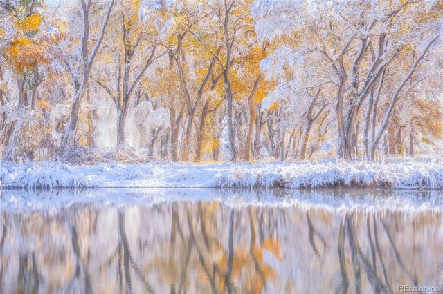 7205 W Clifton Avenue, Littleton, CO 80128