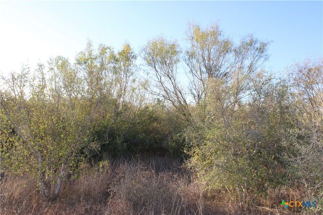 0000 CR 339, Jourdanton, TX 78026