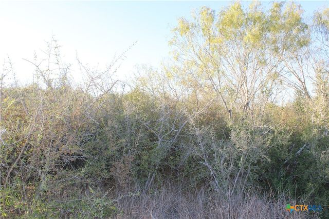 0000 CR 339, Jourdanton, TX 78026
